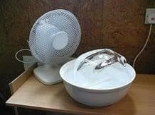 3. Place an Ice-Bowl in Front of Fan